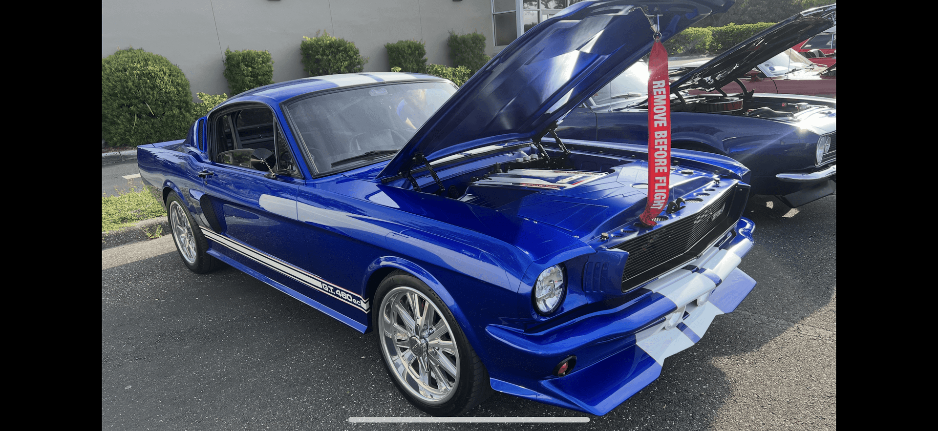 Exclusive Car Displays